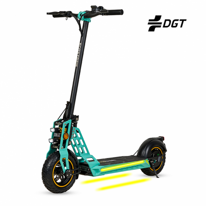 Ecoxtrem Bison GT Single Motor