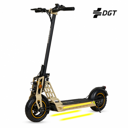 Ecoxtrem Bison GT Single Motor